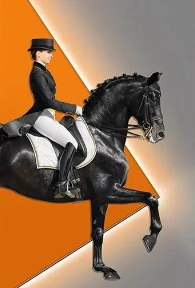 Modern Aristocratic Equestrian Posters Canvas Paintings Living Room Home Decorations Modern Horse Riding Oil Paintings Wall
