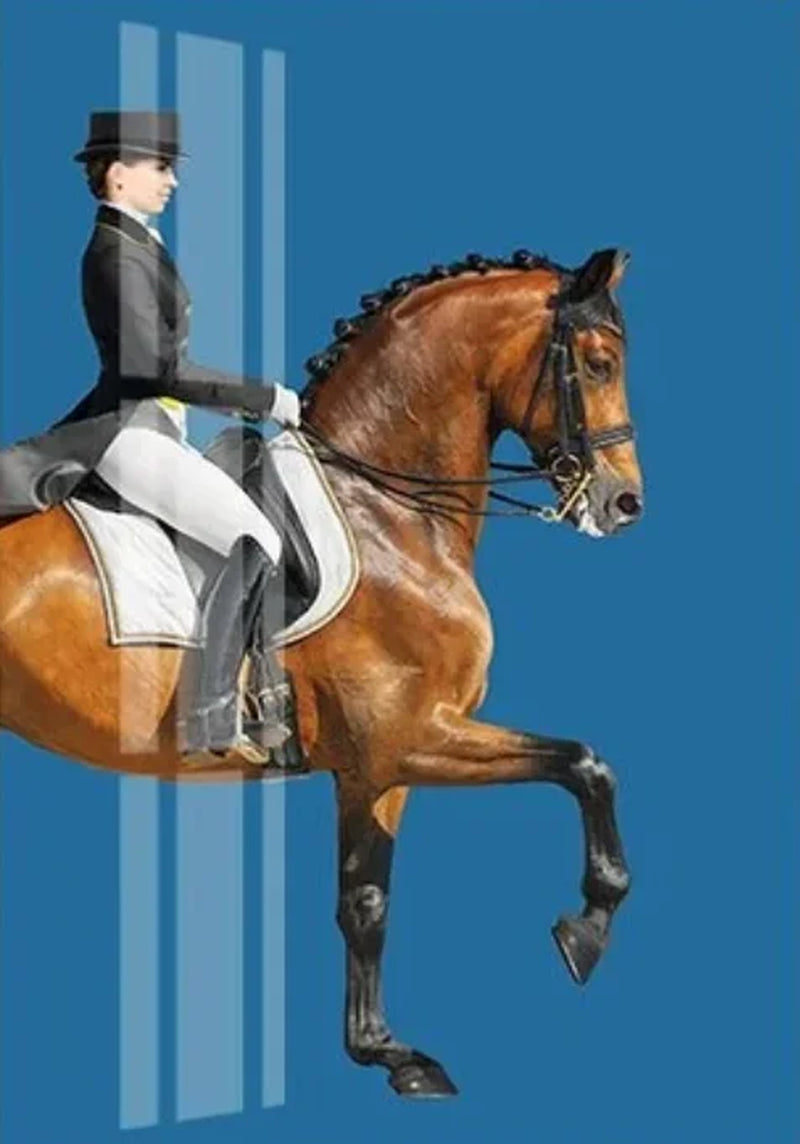 Modern Aristocratic Equestrian Posters Canvas Paintings Living Room Home Decorations Modern Horse Riding Oil Paintings Wall