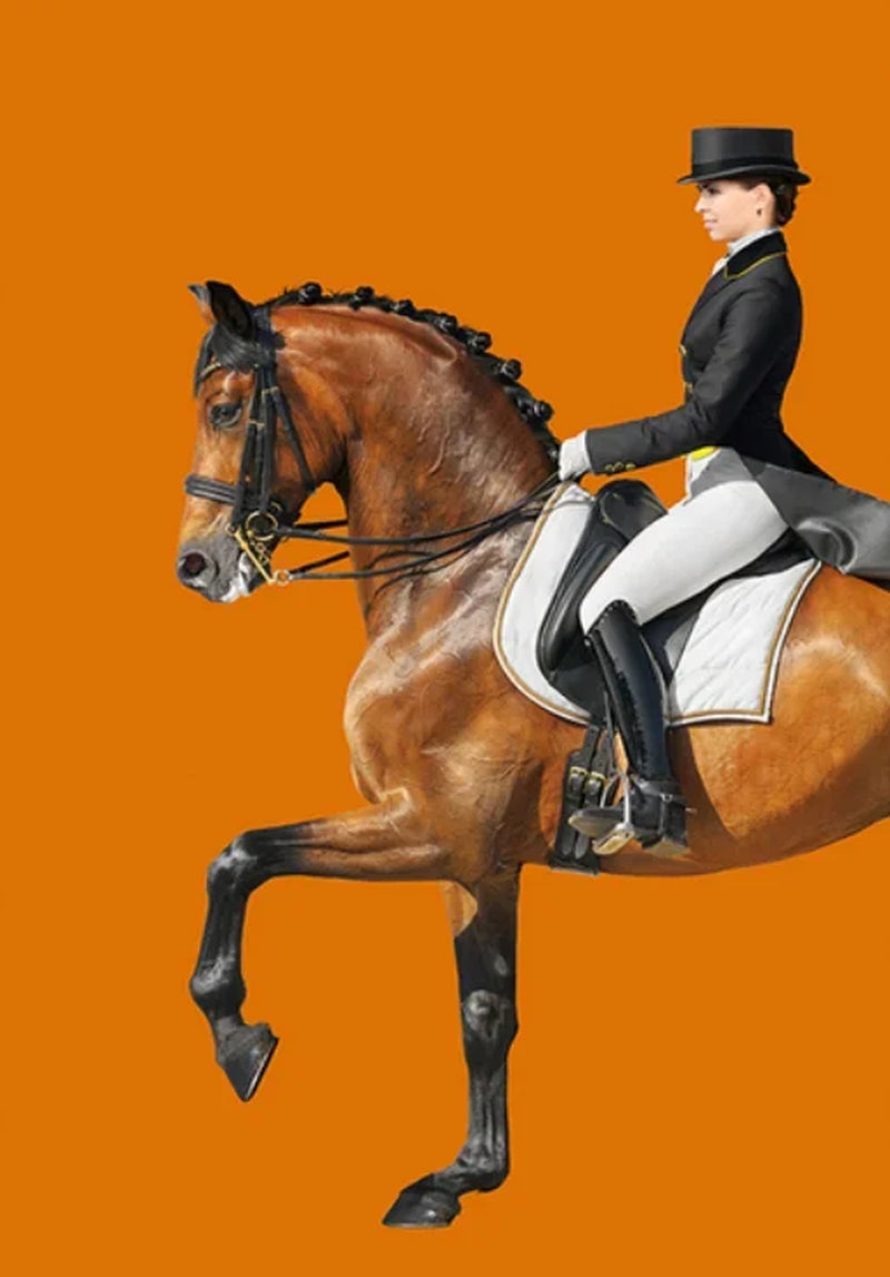 Modern Aristocratic Equestrian Posters Canvas Paintings Living Room Home Decorations Modern Horse Riding Oil Paintings Wall