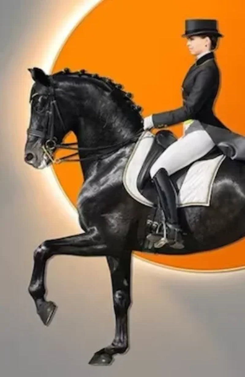 Modern Aristocratic Equestrian Posters Canvas Paintings Living Room Home Decorations Modern Horse Riding Oil Paintings Wall