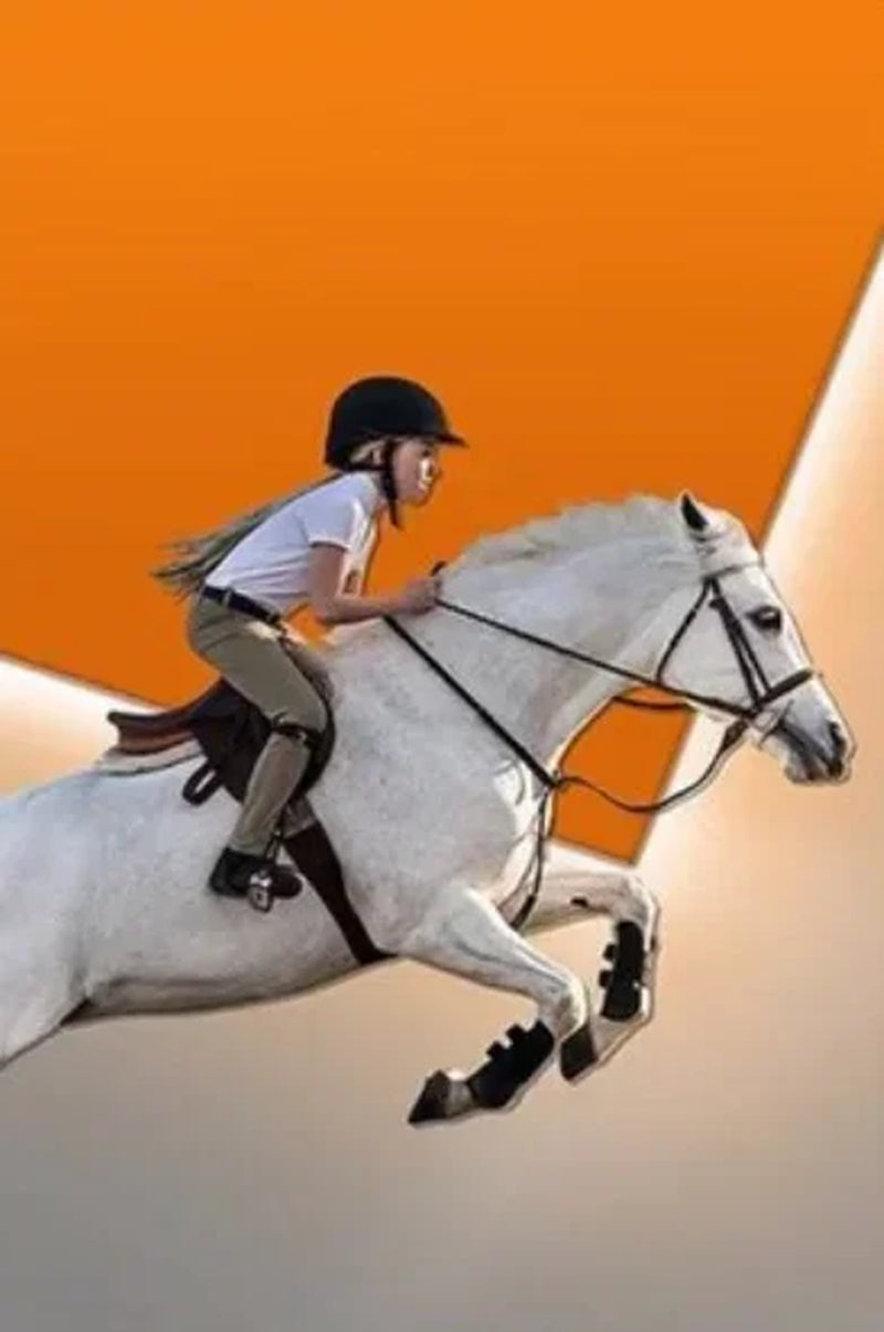 Modern Aristocratic Equestrian Posters Canvas Paintings Living Room Home Decorations Modern Horse Riding Oil Paintings Wall