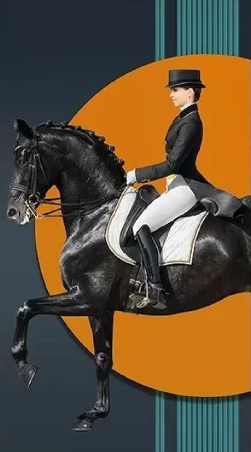 Modern Aristocratic Equestrian Posters Canvas Paintings Living Room Home Decorations Modern Horse Riding Oil Paintings Wall
