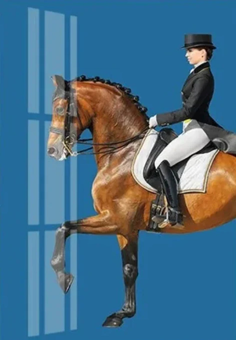 Modern Aristocratic Equestrian Posters Canvas Paintings Living Room Home Decorations Modern Horse Riding Oil Paintings Wall