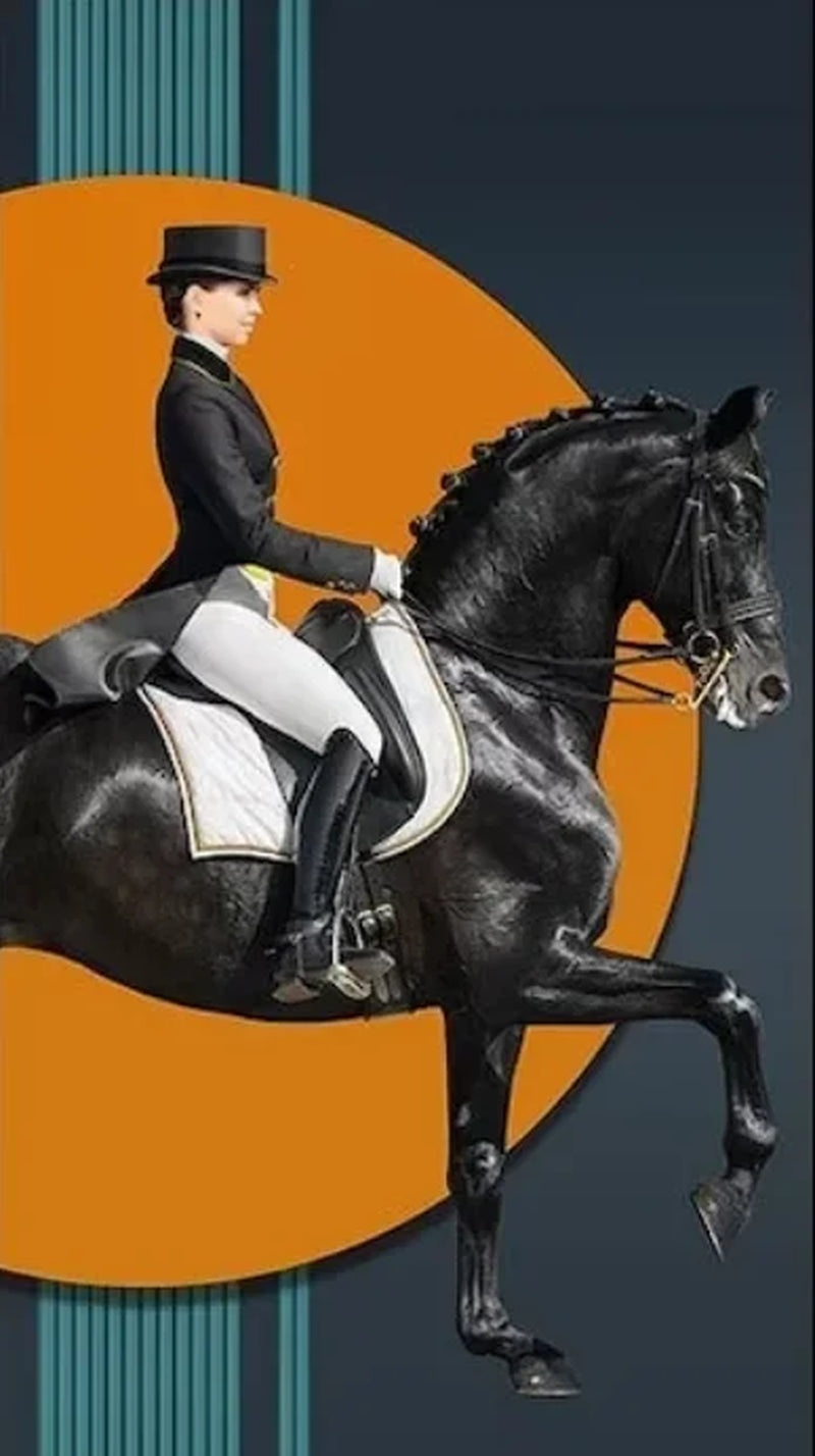 Modern Aristocratic Equestrian Posters Canvas Paintings Living Room Home Decorations Modern Horse Riding Oil Paintings Wall