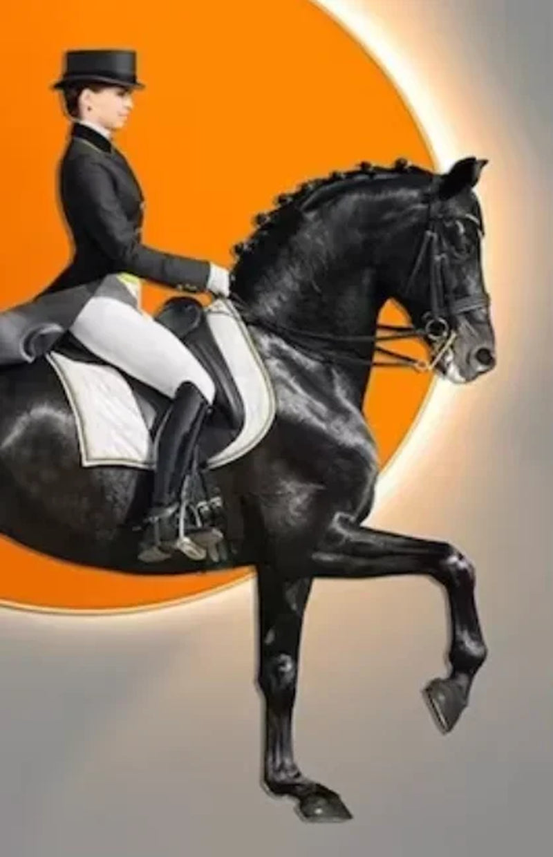 Modern Aristocratic Equestrian Posters Canvas Paintings Living Room Home Decorations Modern Horse Riding Oil Paintings Wall