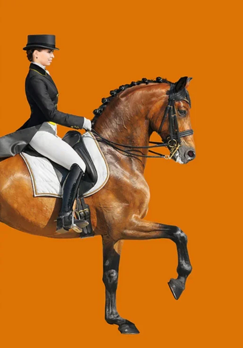 Modern Aristocratic Equestrian Posters Canvas Paintings Living Room Home Decorations Modern Horse Riding Oil Paintings Wall